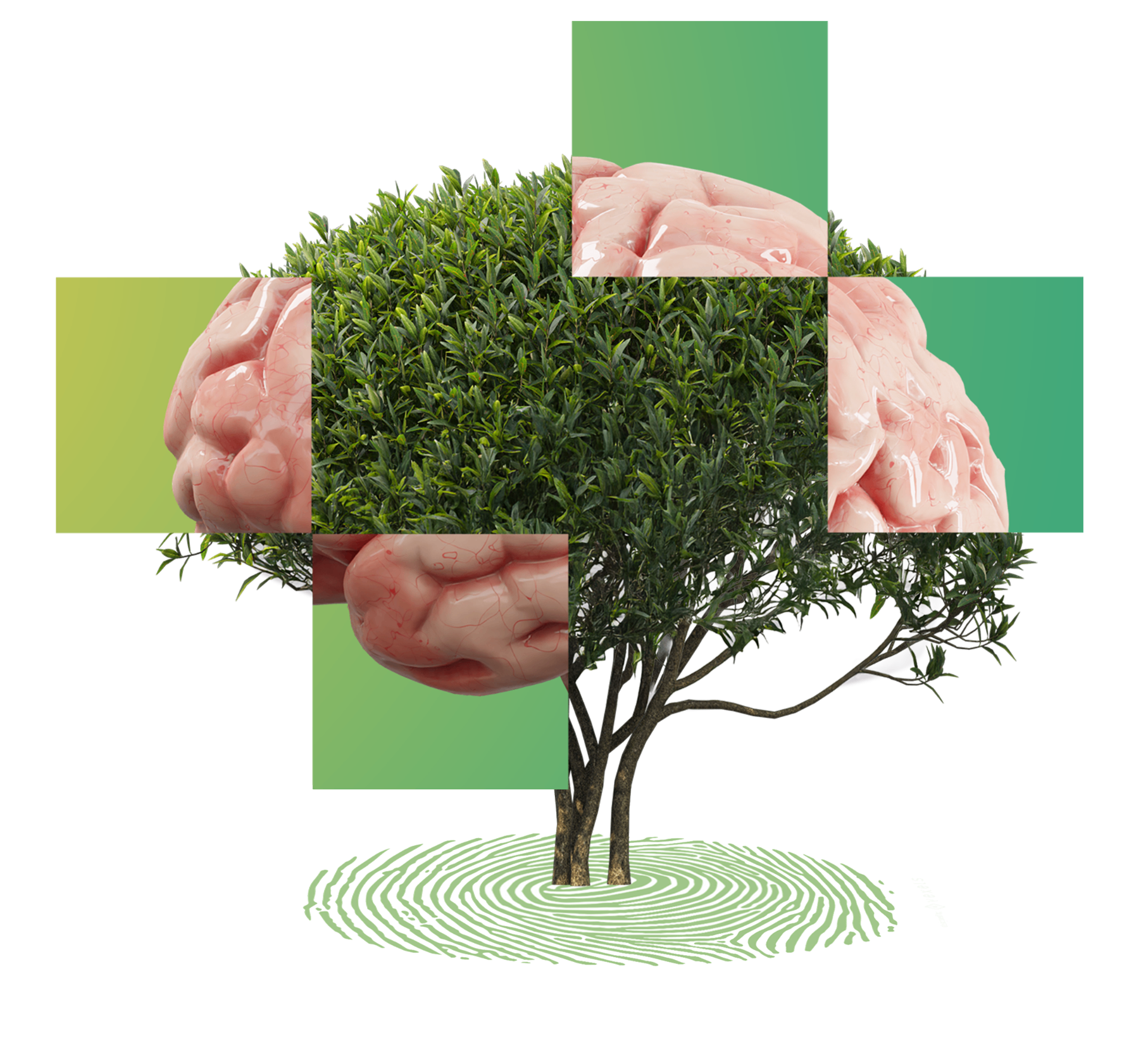 Árbol de mente y naturaleza — Tarpuy, incubación socioambiental